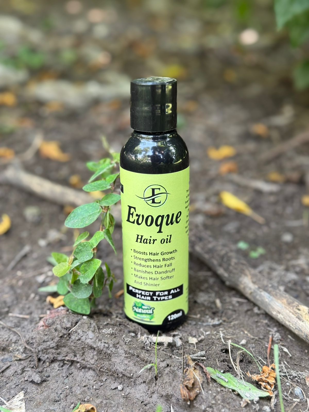 Evoque Hair Oil 100% Natural (120ml)