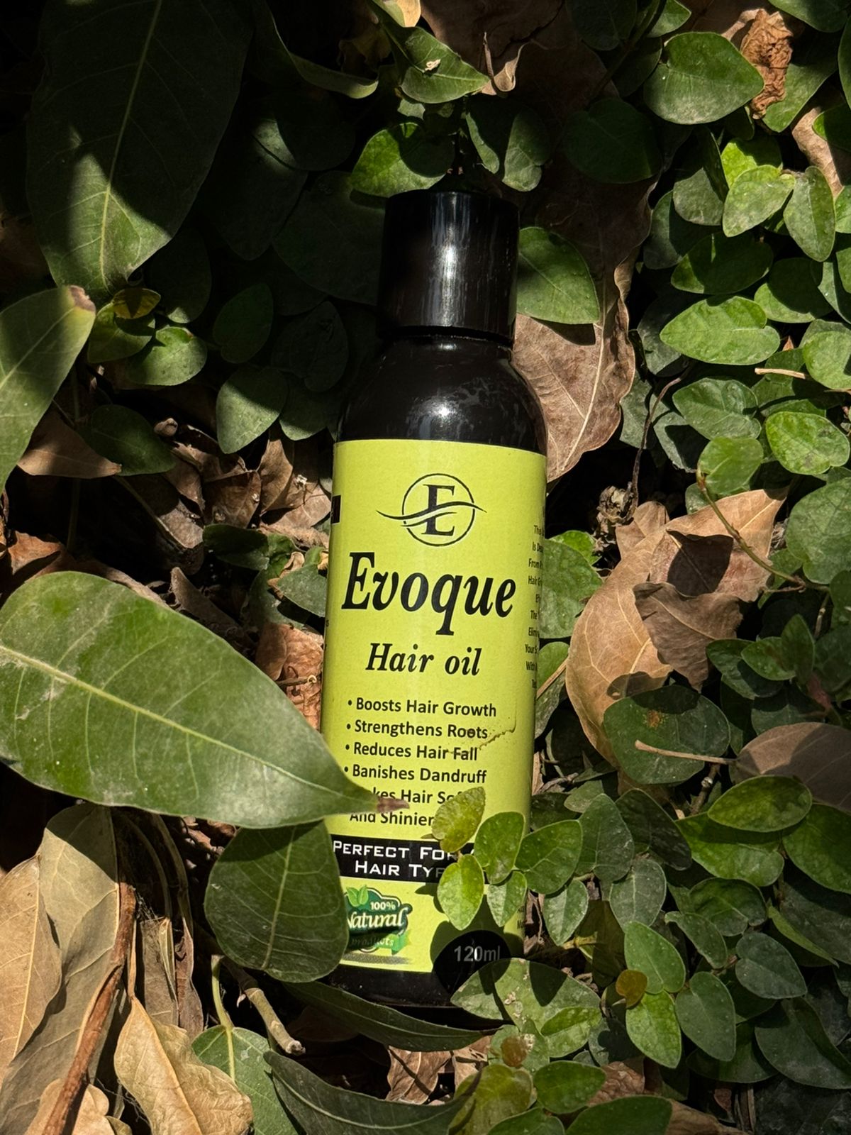 Evoque Hair Oil 100% Natural (120ml)