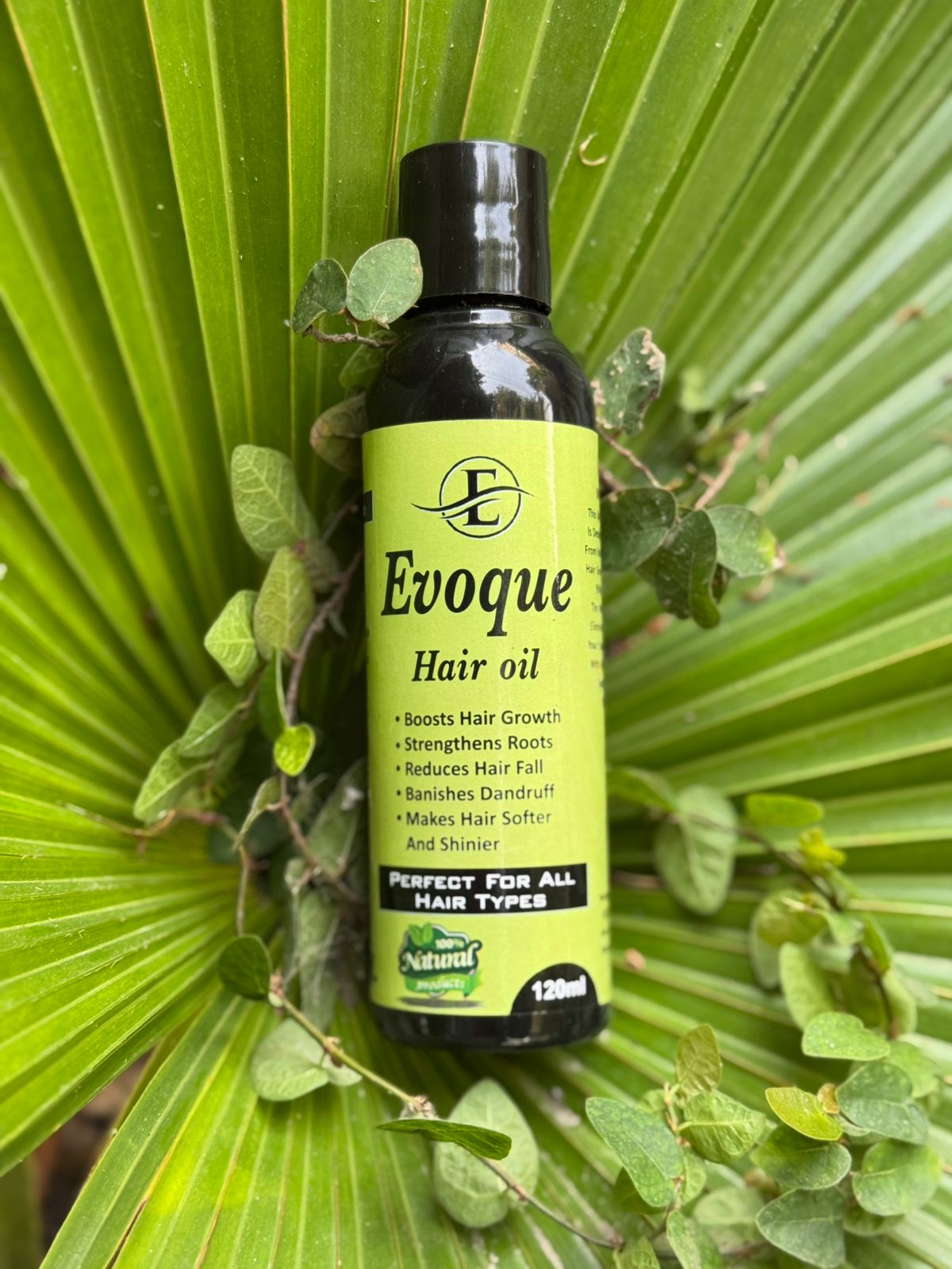 Evoque Hair Oil 100% Natural (120ml)