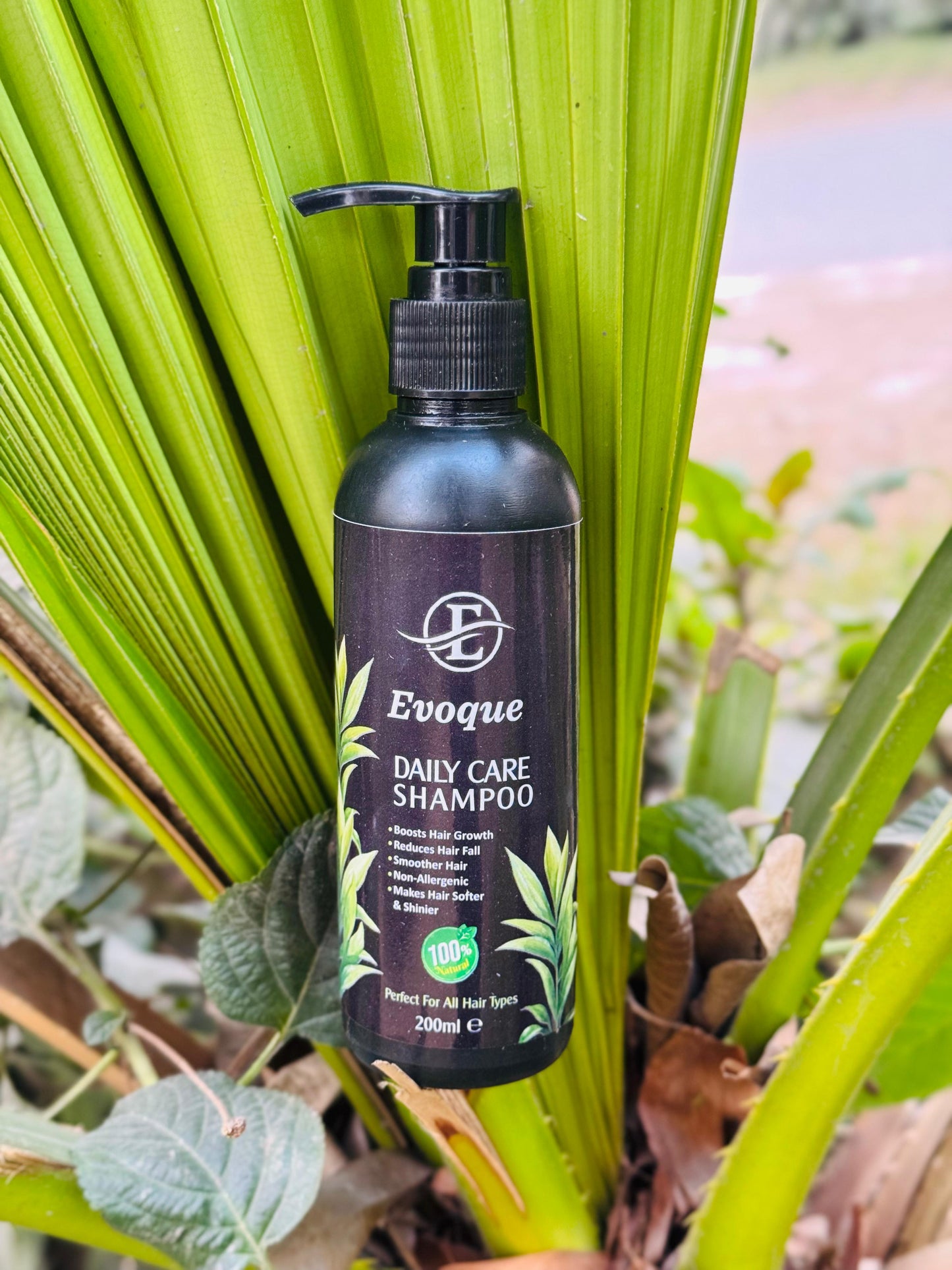 Evoque Daily Care Shampoo (Organic) 200ml