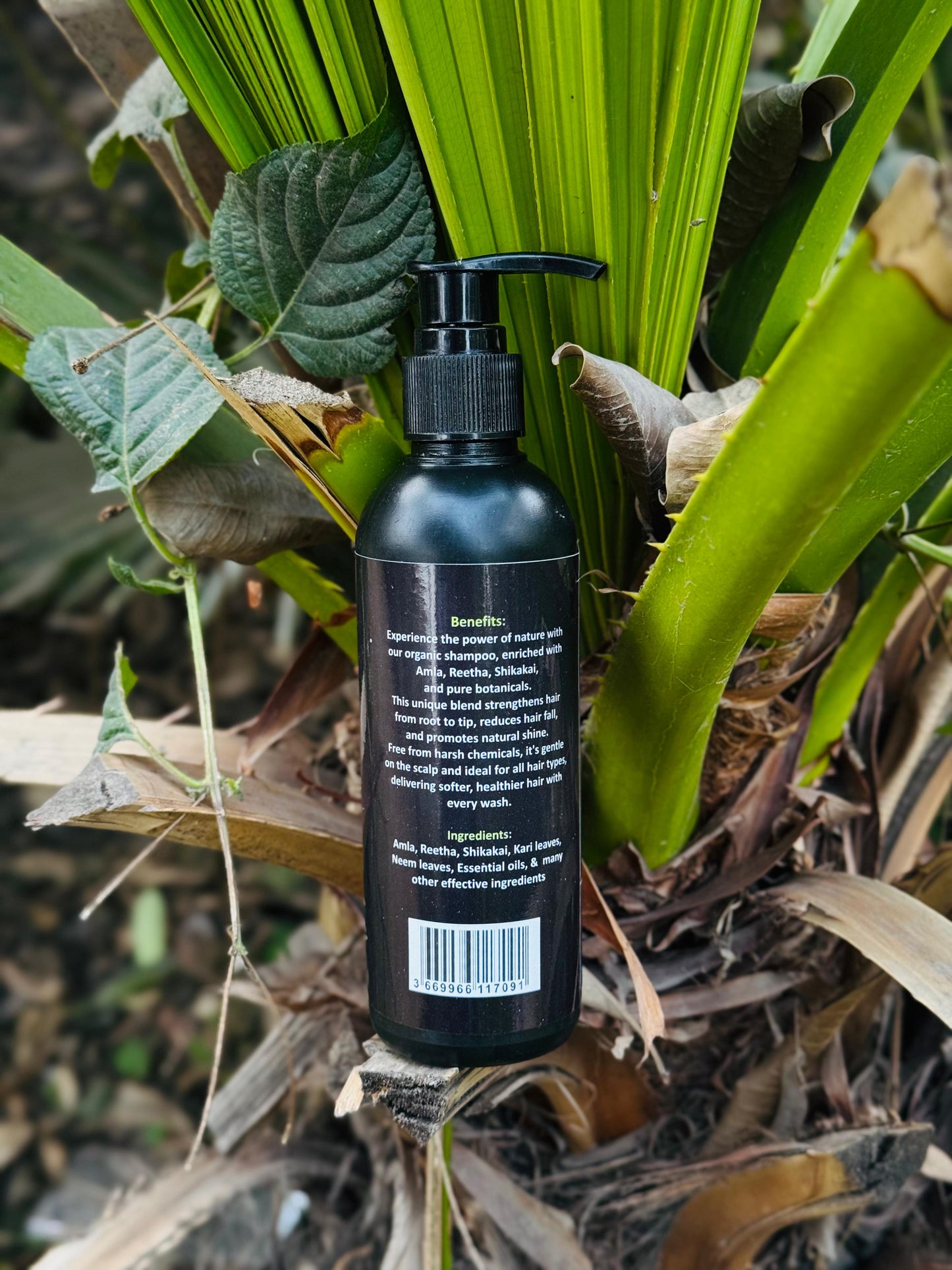 Evoque Daily Care Shampoo (Organic) 200ml